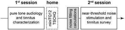 Spectrally Matched Near-Threshold Noise for Subjective Tinnitus Loudness Attenuation Based on Stochastic Resonance